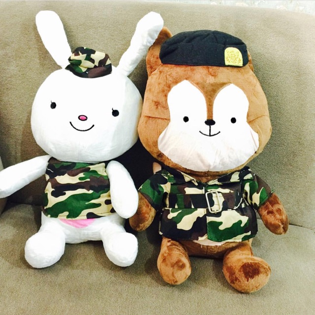 descendants of the sun stuffed toy