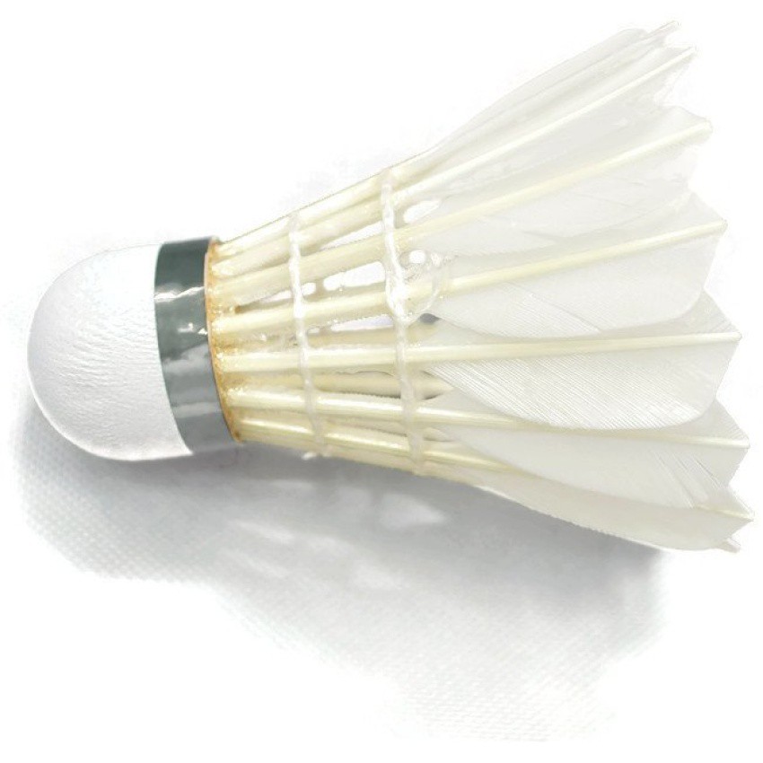 feathers of shuttlecock