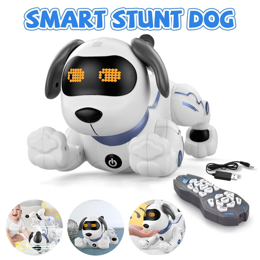 stunt dog robot