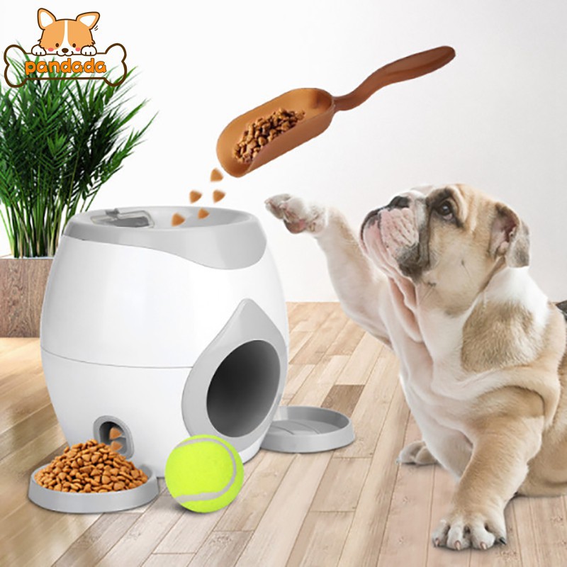 automatic fetch toy