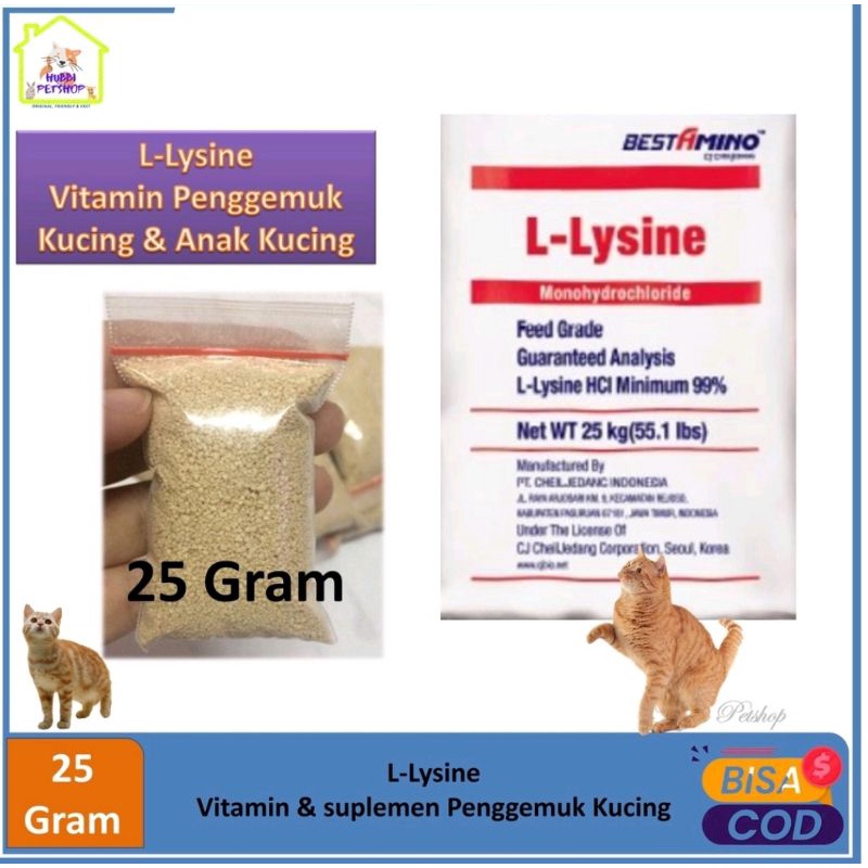 Lysine Cat Hair Growth And Fattening Medicine 25 grm Shopee Philippines