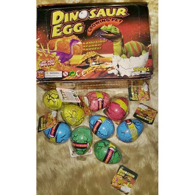 dinosaur egg growing pet