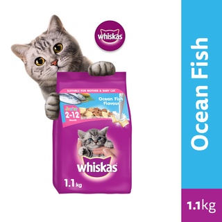 WHISKAS Junior Dry Kitten Food Ocean Fish Flavor with Milk, 1.1kg. Pet Food for Kittens