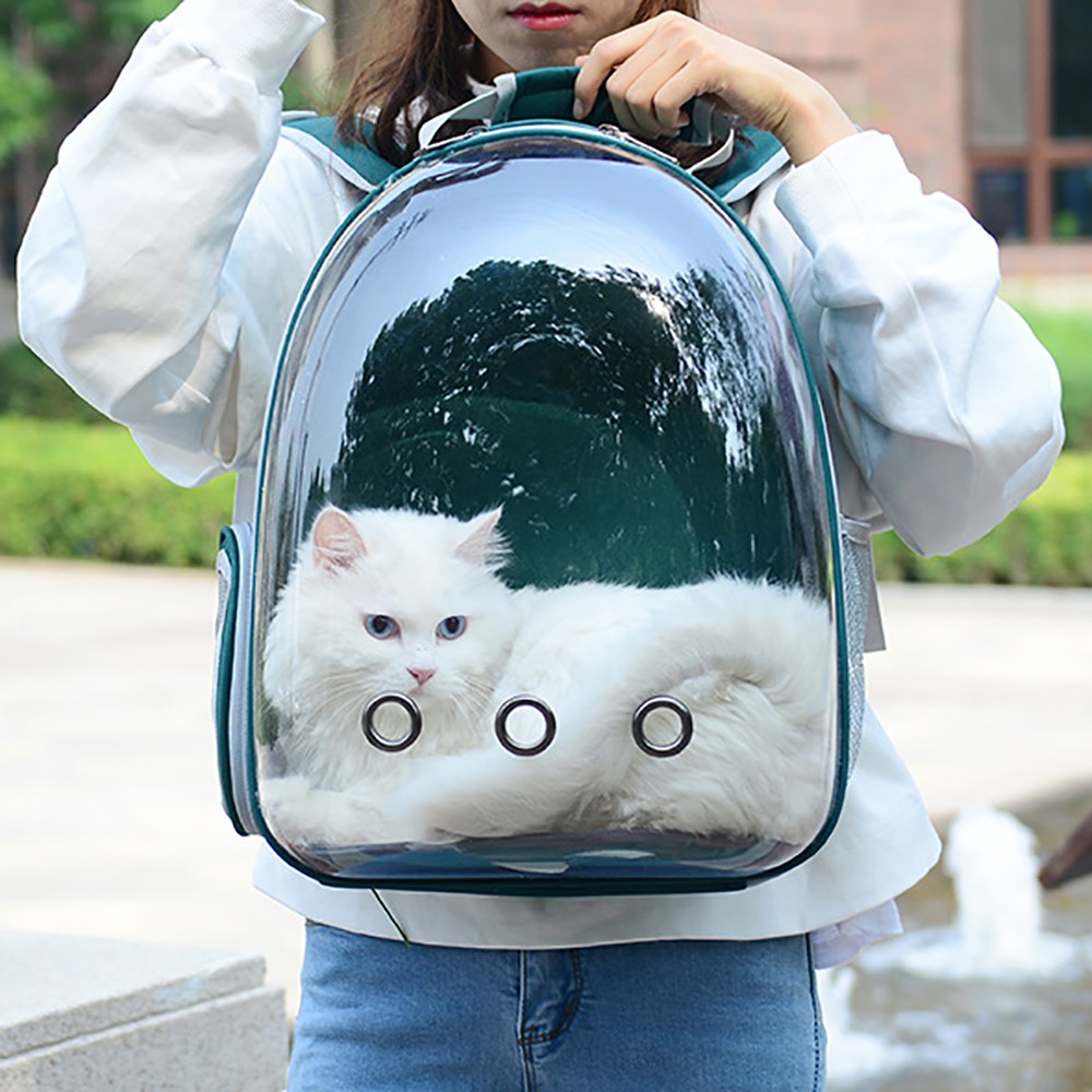 bags for cat