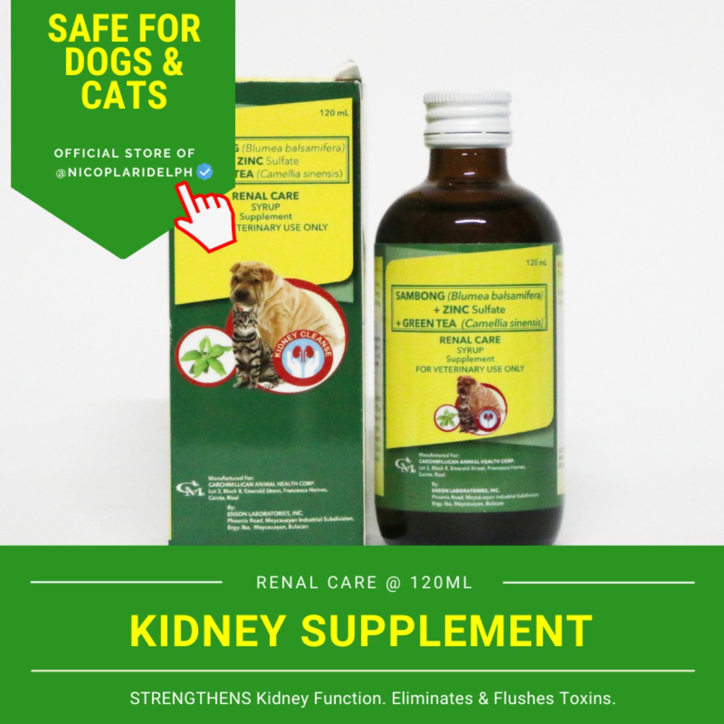 Renal Care Kidney Supplement for Dogs and Cats (120ml) [PRICE SLASHED