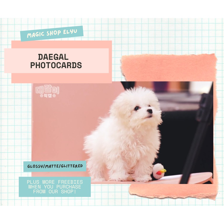 Daegal ( NCT Dream Chenle Dog / Puppy ) Fanmade Photocard | Shopee ...