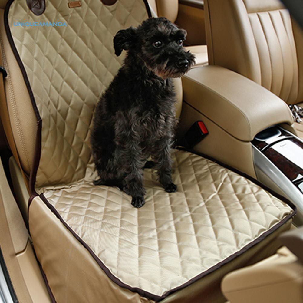 safest dog carrier for car