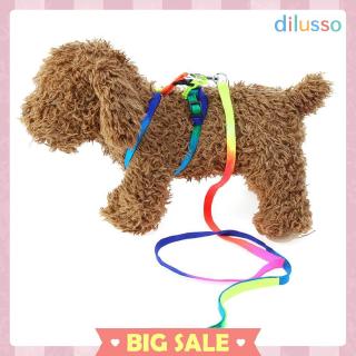 toy dog collar and lead