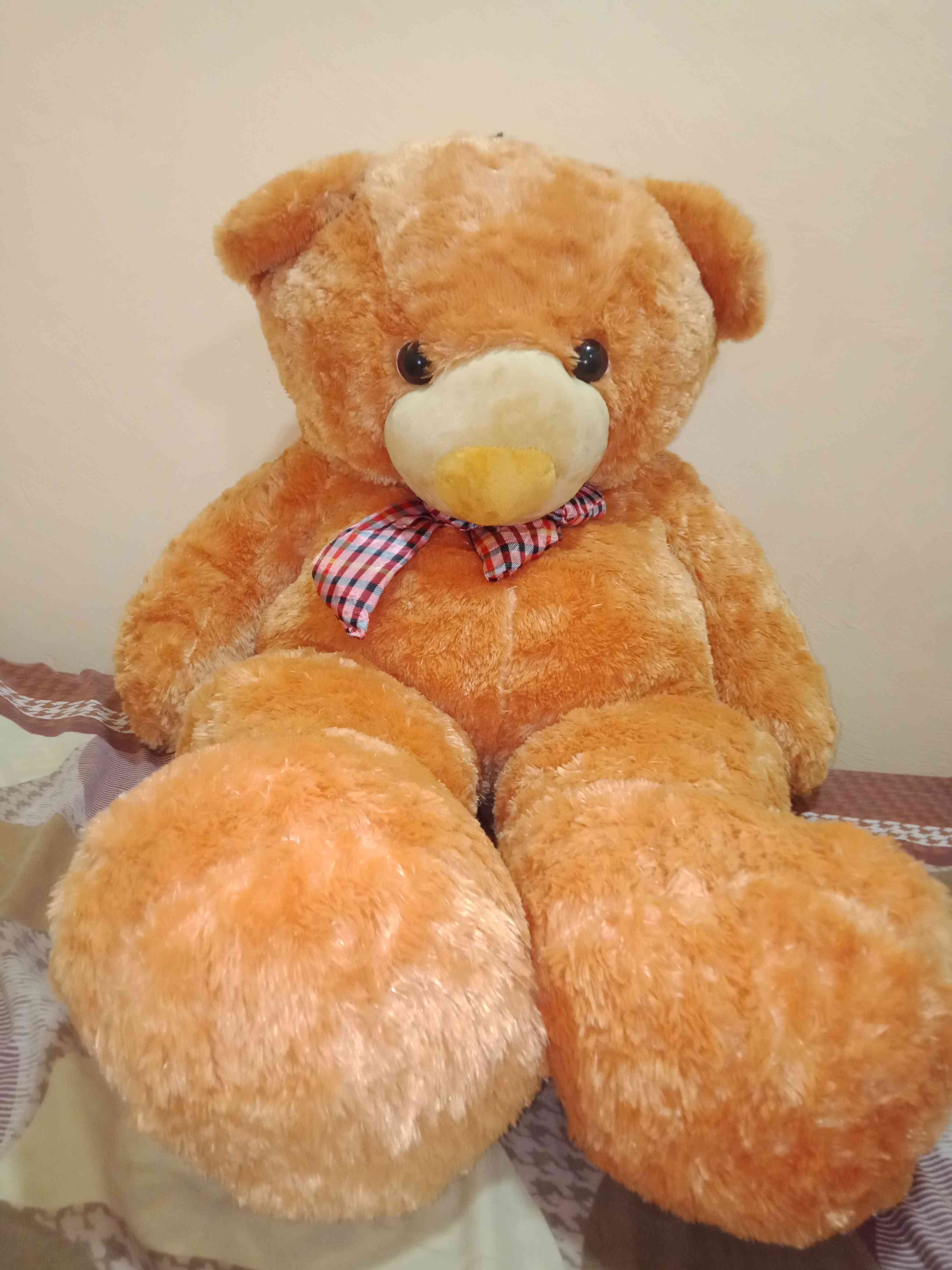 teddy bear po