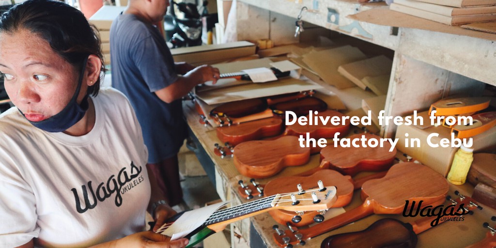 Wagas Ukuleles Cebu, Online Shop Shopee Philippines