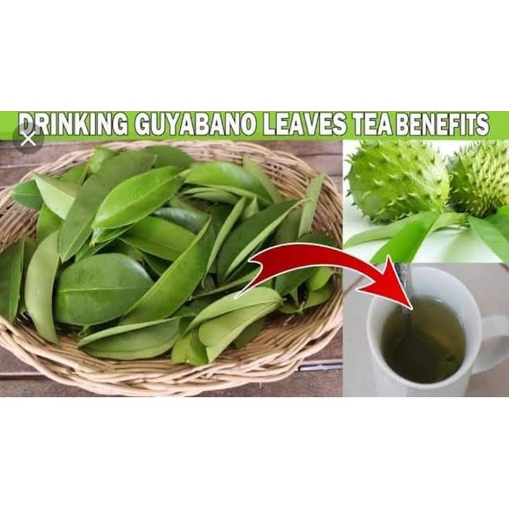 Guyabano Soursop Tea 80g Shopee Philippines