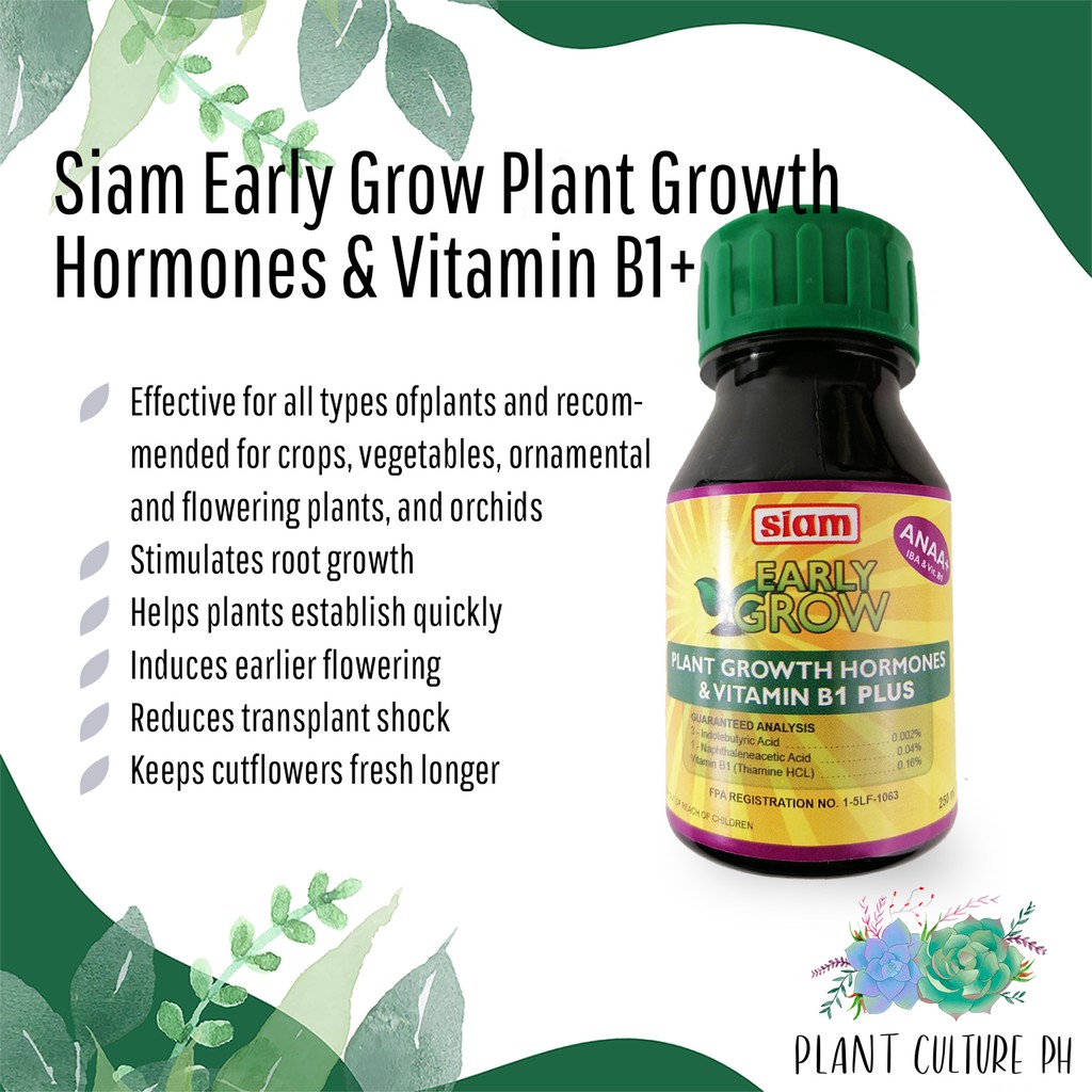 Siam Early Grow Plant Growth Hormones &amp; Vitamin B1 Plus