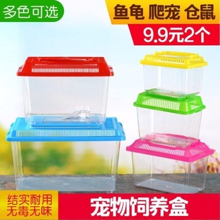 Fish tank turtle box mouse crawling pet reptile snail silkworm baby horned frog insect mantis breedi