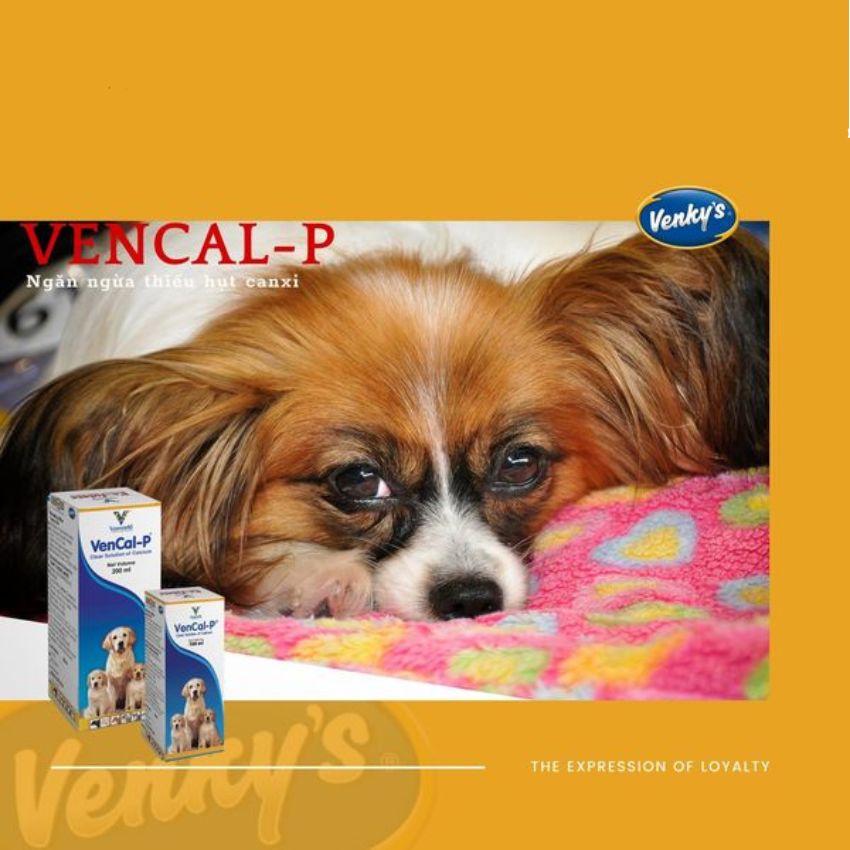 [Genuine]-- Wholesale] Vencal Supplements Calcium For Dogs And Cats Suitable For Bone Formation, For Dogs And Cats Who Lack Calcium Imported #5