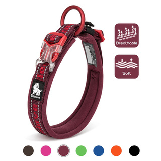 nice dog collars