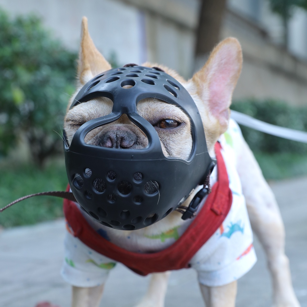 Do Muzzles Keep Dogs From Barking