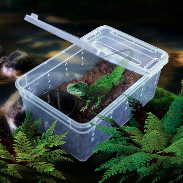 Reptile Turtle Lizard Snake Amphibian Frog Spider Box Habitat Box Case CLEAR