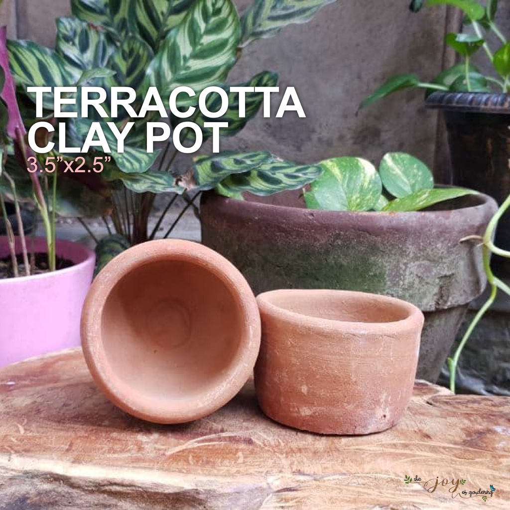 3.5" TERRACOTTA CLAY POTS FOR YOUR CACTUS & SUCCULENTS (CnS) Shopee