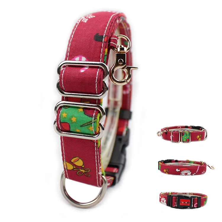 special dog collars