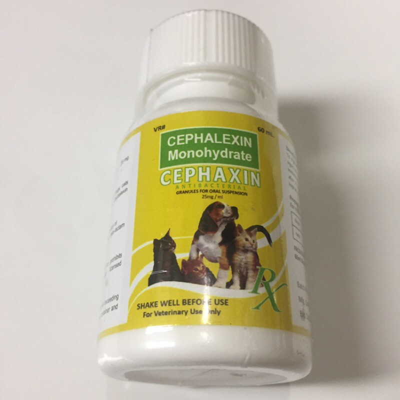 CEPHALEXIN Monohydrate CEPHAXIN ANTIBACTERIAL 60ML for Cats and Dogs