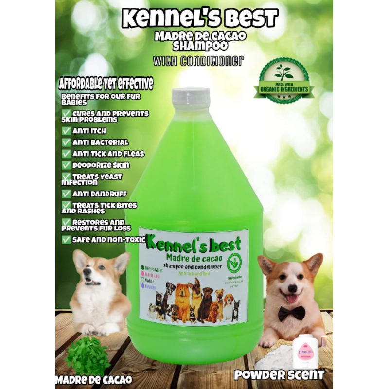 Is It Safe To Put Baby Powder On Dogs