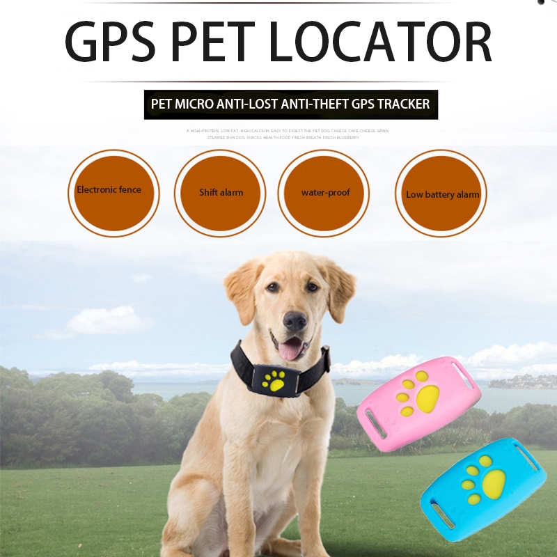 pet dog gps tracker