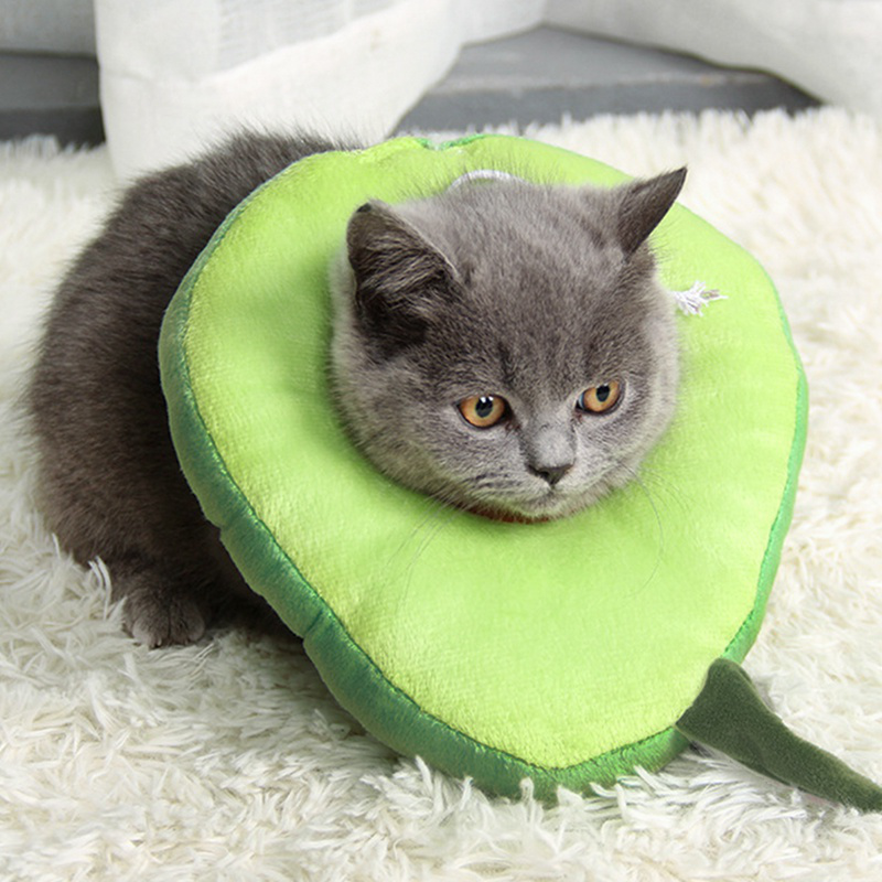 cat cone collar near me