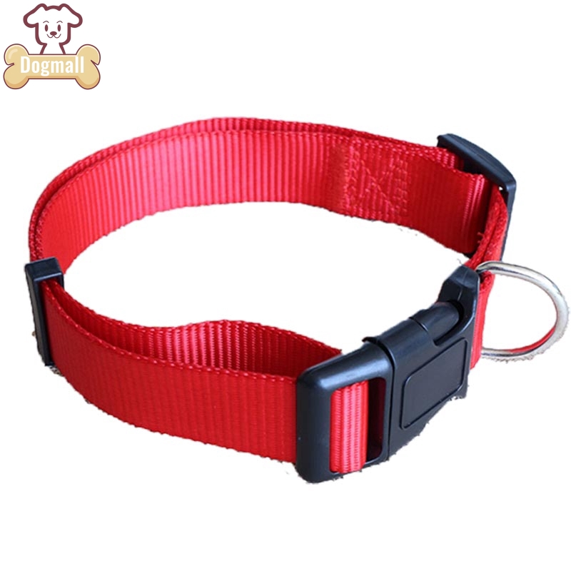 buckle dog collars