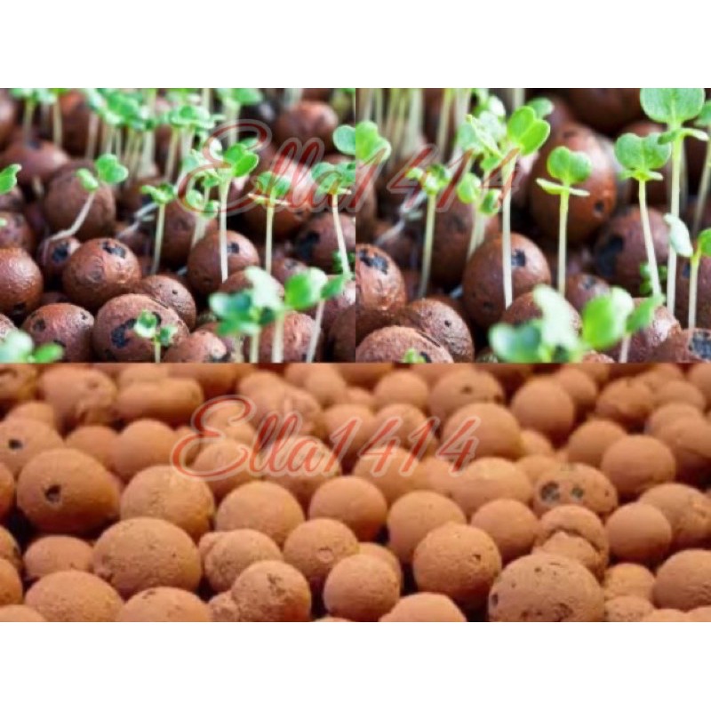 Aquaponics supplies in the philippines Smart Homes That Float On Water Mimic The Defence Mechanism Of A Pufferfish