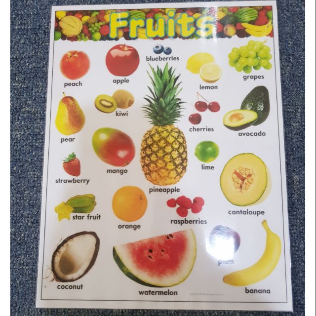 fruits-chart-laminated-shopee-philippines
