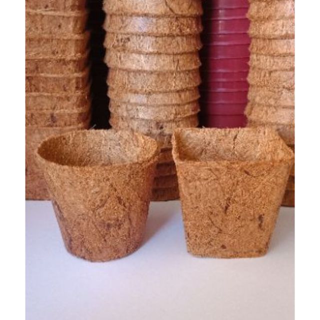 Small Coco pot, 3x3 coco pot,round and square coco pot Shopee Philippines