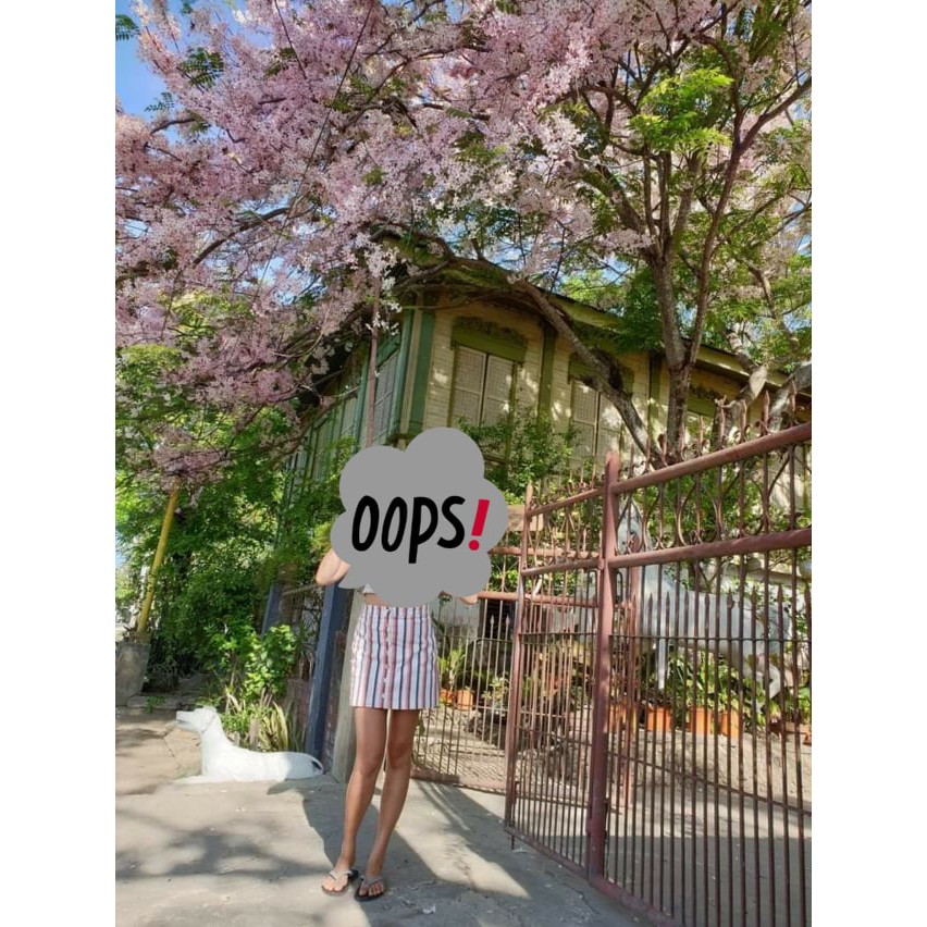 21+ Palawan cherry tree for sale