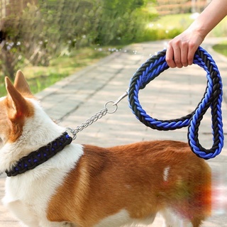 ARIGOS Durable Braided Dog Leash and Collar With Metal Chain Pet Leashes For Small Medium Dogs