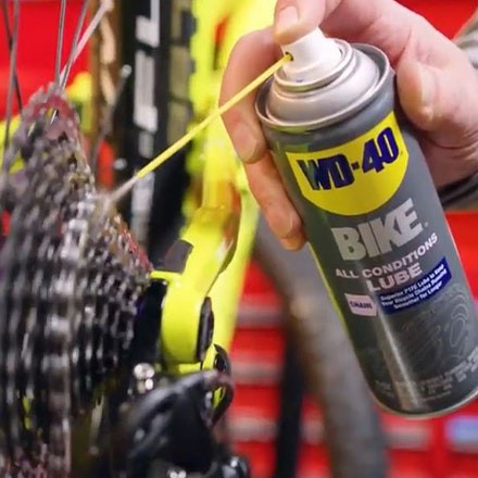 wd40 on bike chain