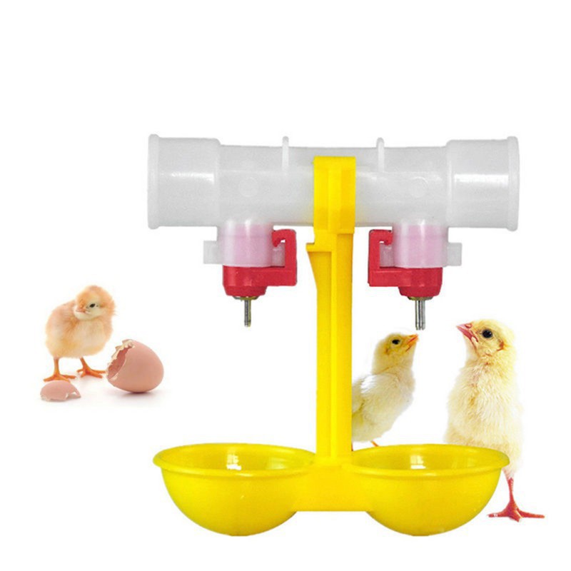 Feeding Watering Supplies Watermk 10pcs Automatic Poultry Water