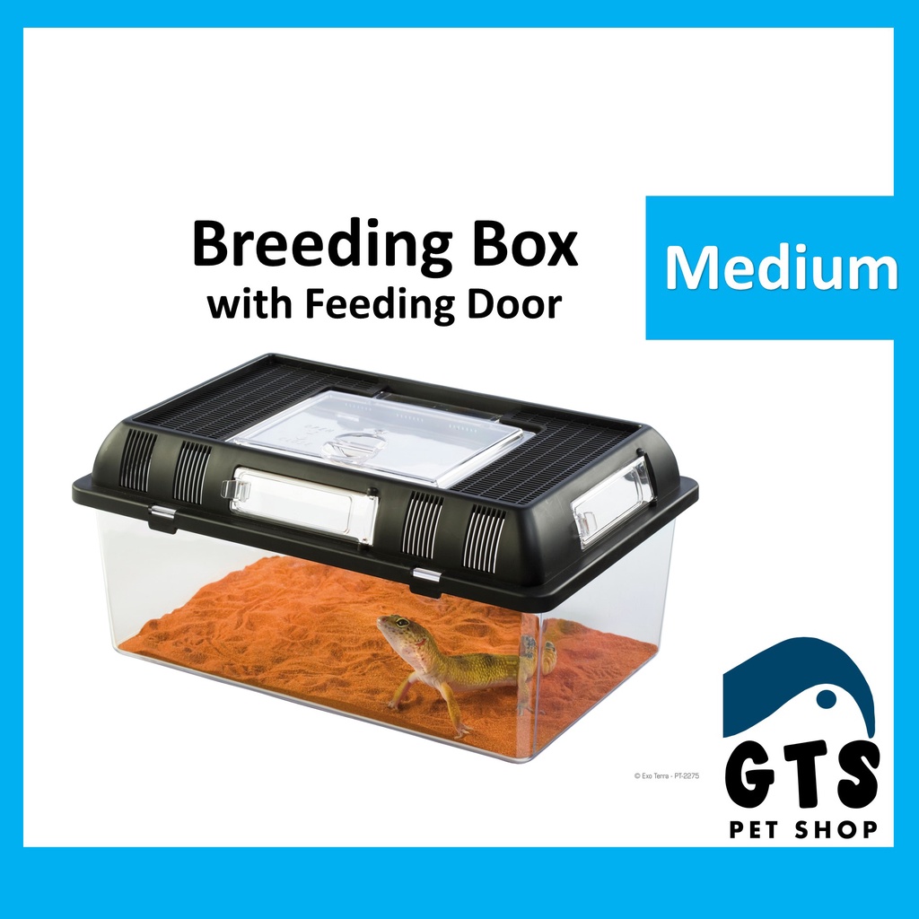 Exo Terra Plastic Faunarium (Medium) PT2275 (Reptile Tank, reptile