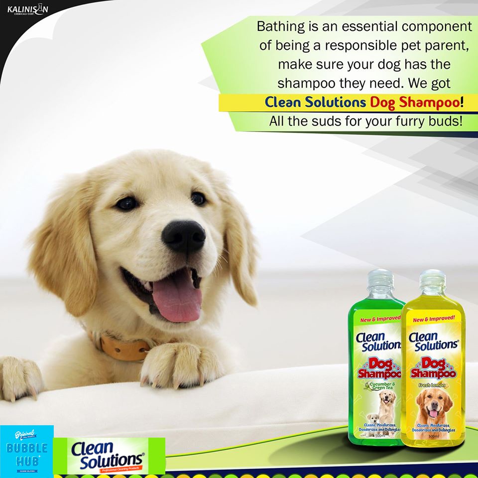 pet solutions dog shampoo