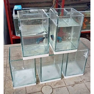 betta tank 4x6x8 and 6x6x8 | Shopee Philippines