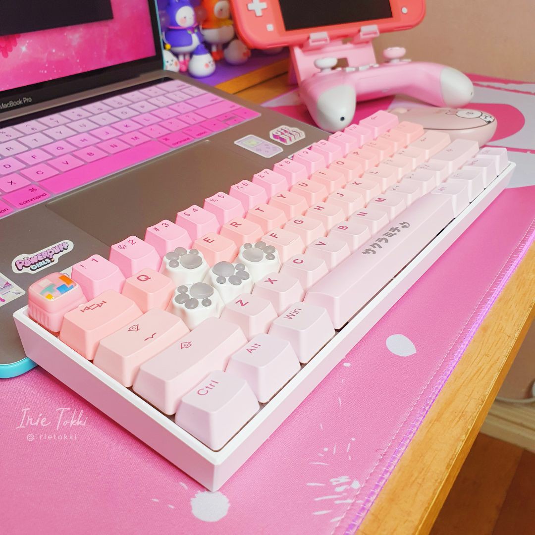 Tai Hao Sakura Michi 140 Keys Pbt Backlit Keycaps Shopee Philippines