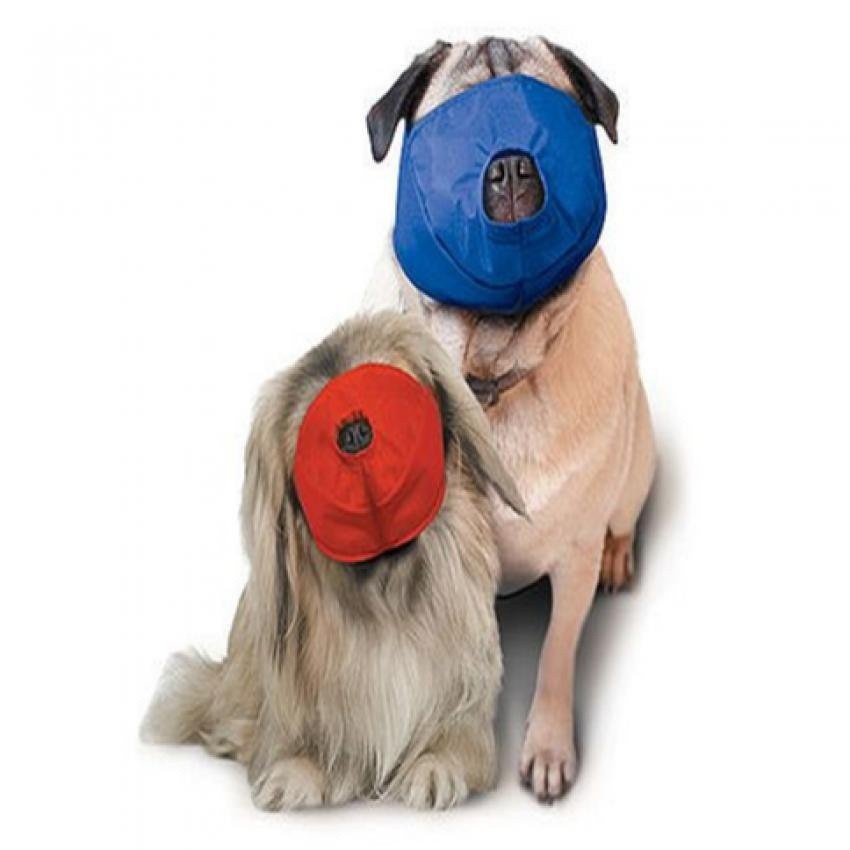 dog muzzle for pugs