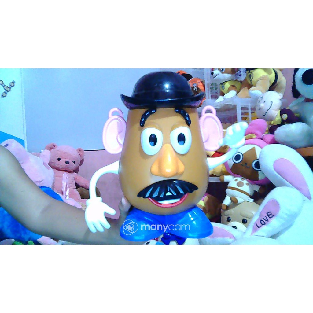 potato head bucket