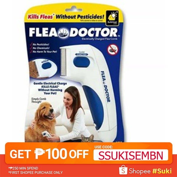 female dog in heat frequent urination