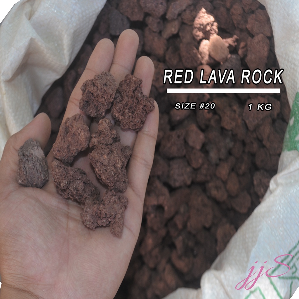 1kg Red Lava Rock Size20 Aquarium and Succulents Best Lava Rock Ever