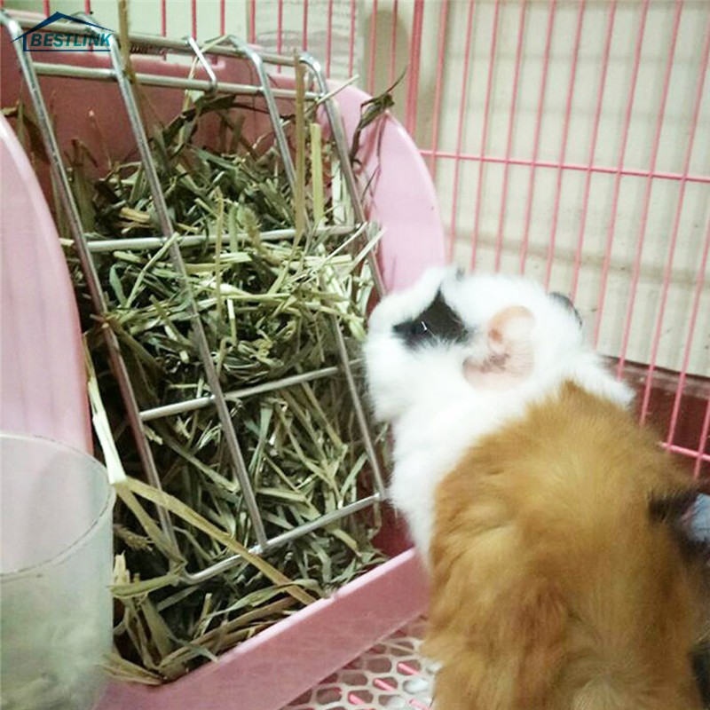 Bl Hay Feeder Rack Rabbit Food Bowl Grass Shelf Guinea Pig
