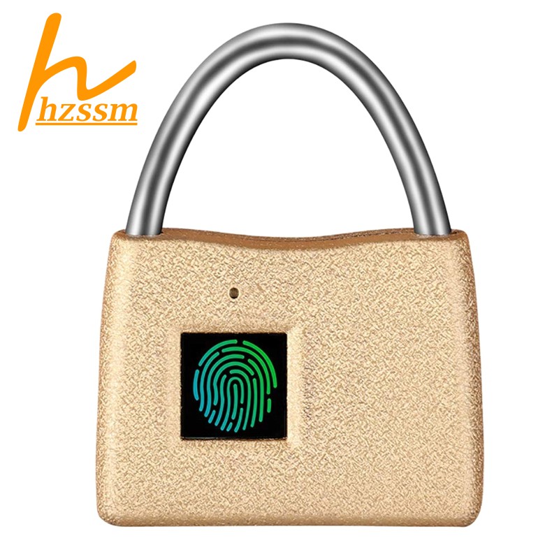 biometric luggage lock