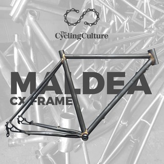 Ave Maldea Frame Price 2024 www tofrei