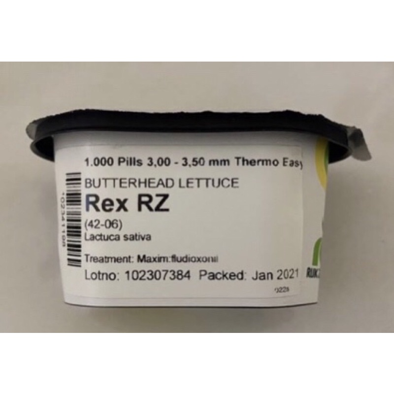 Butterhead Lettuce Rex RZrepacked Shopee Philippines