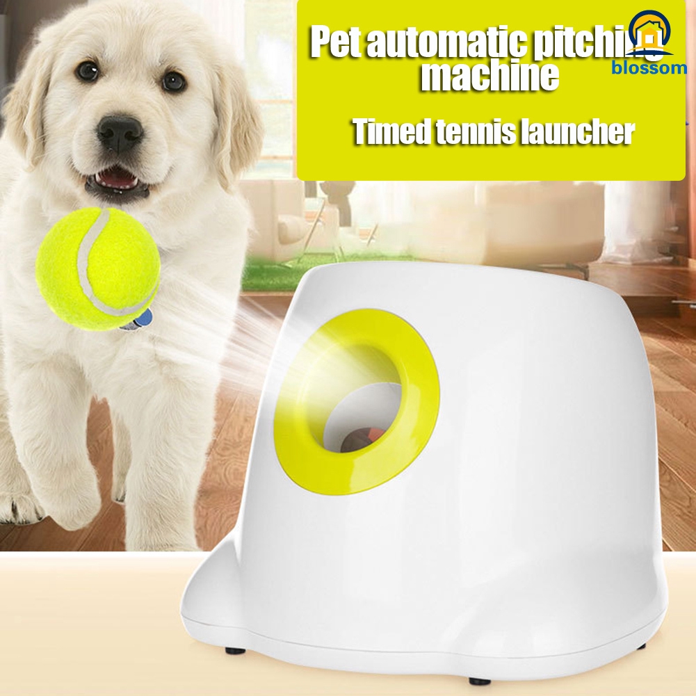 automatic dog toy thrower