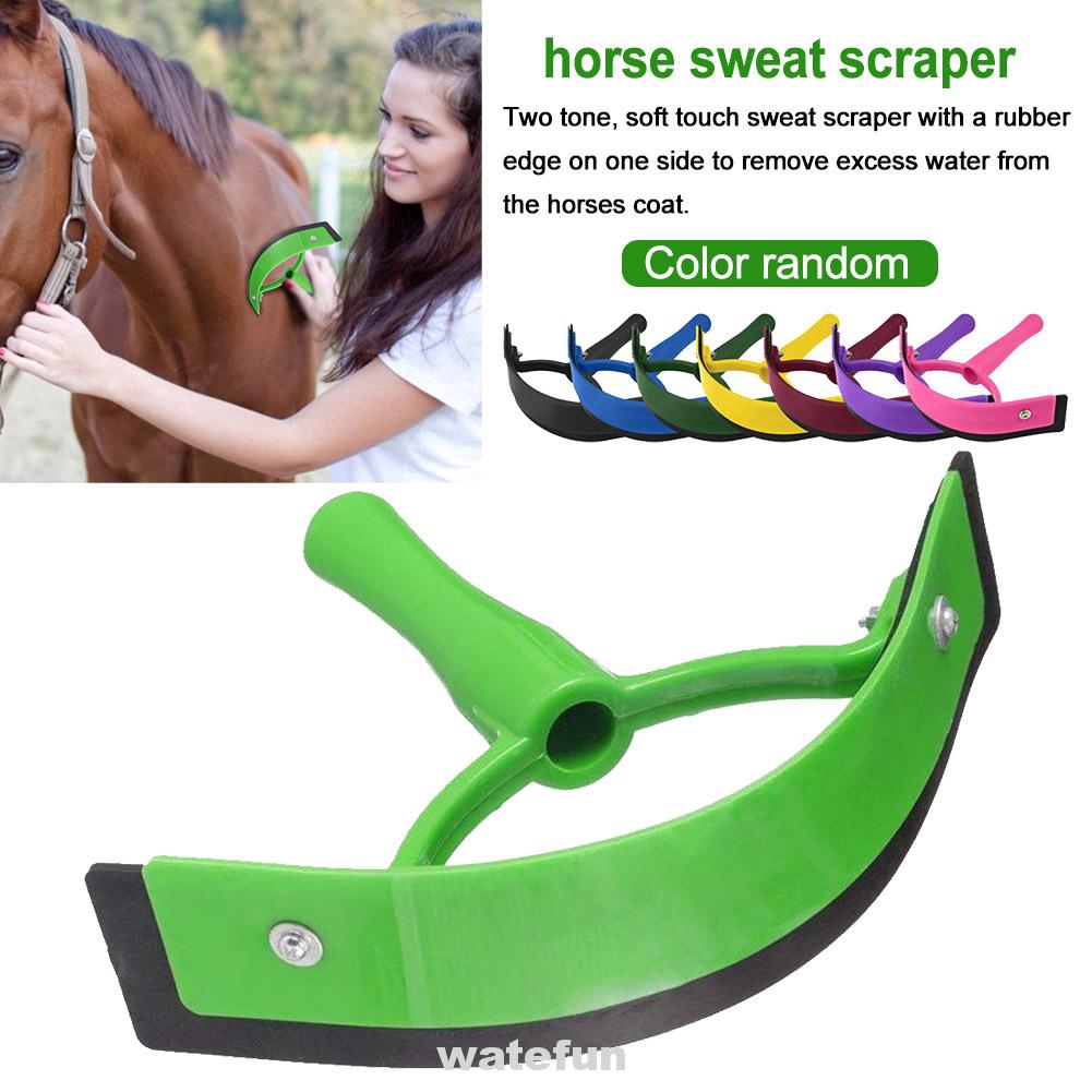 the horse accessories