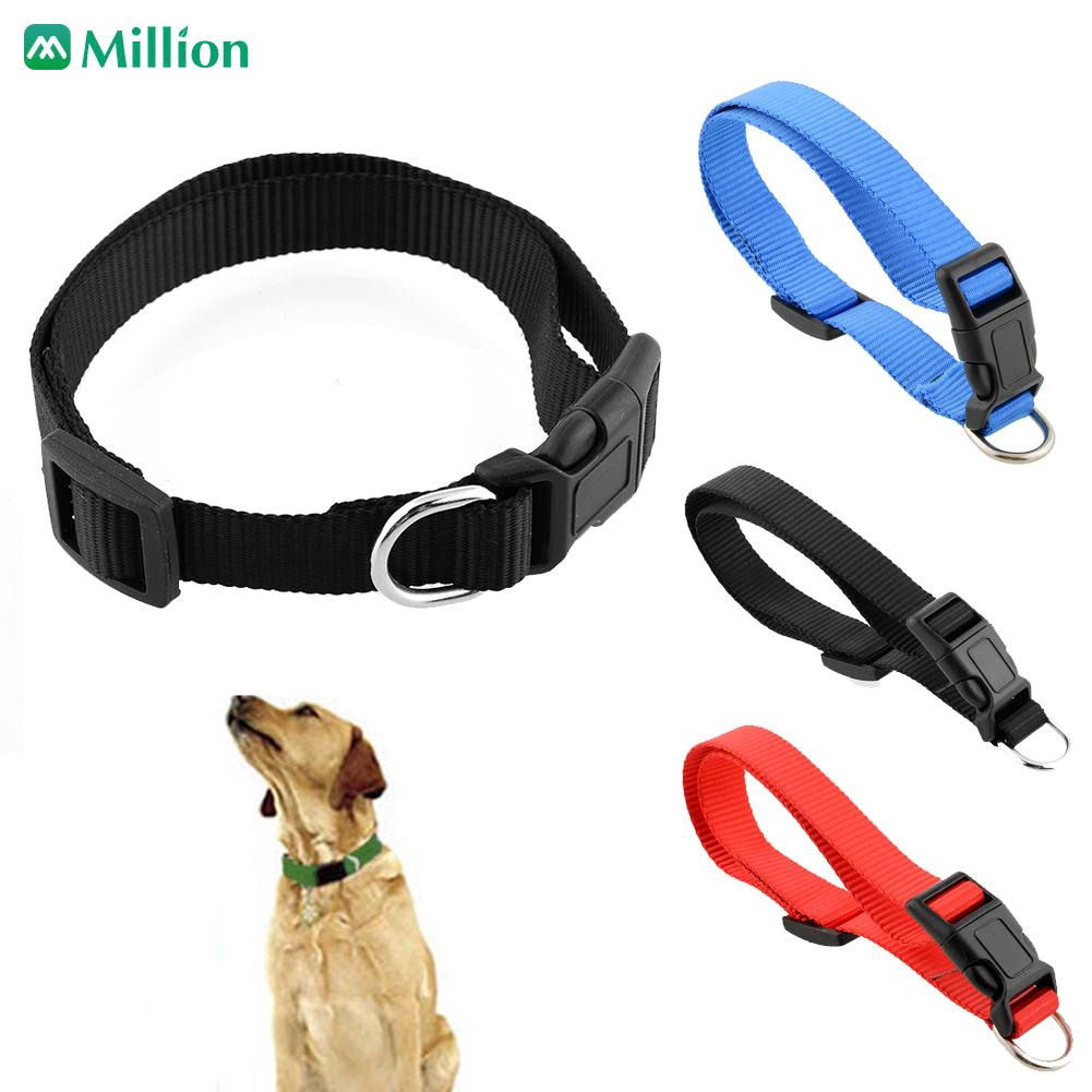 dog leash buckle